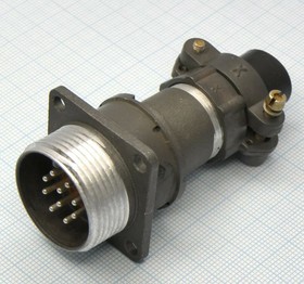 2РМДТ24БПН10Ш5В1В, вилка