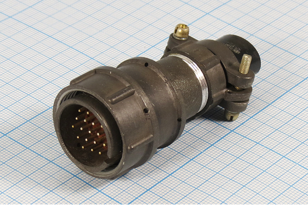 2РМ24КПН19Ш1В1, вилка